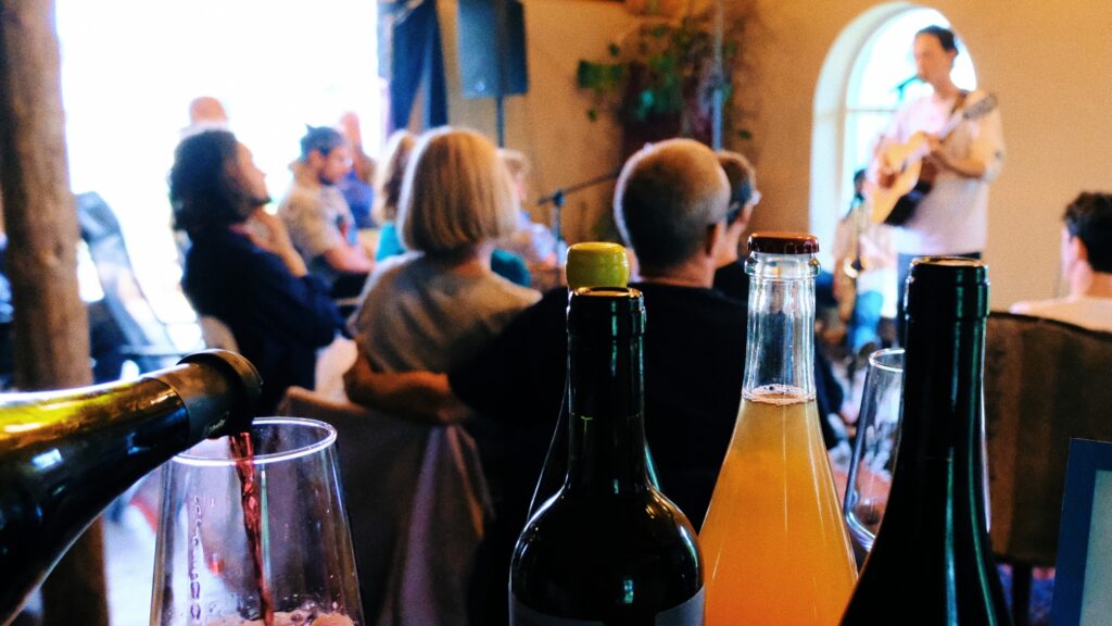 Naturvin og intimkoncert i Studio Vildnis